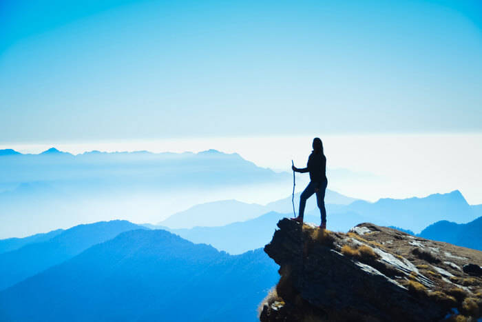 Background Contact Info